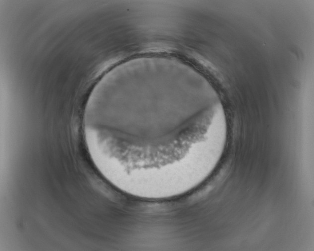 X0000113231401200910221030