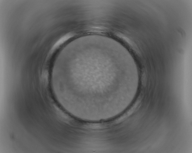 X0000113231402200910221030