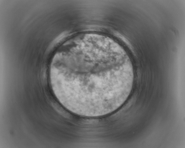 X0000113231403200910221030