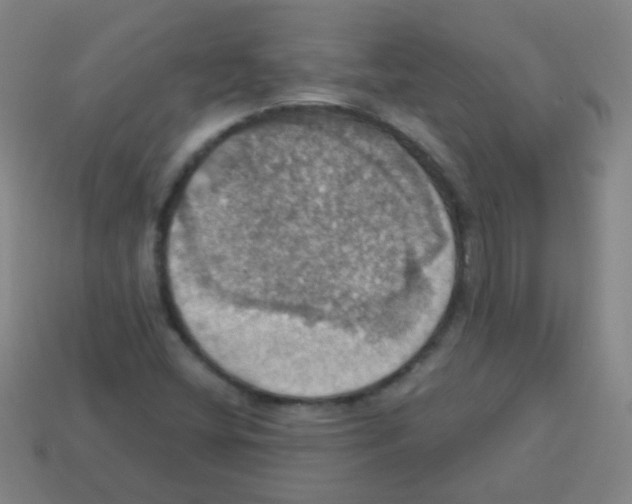 X0000113231404200910221030