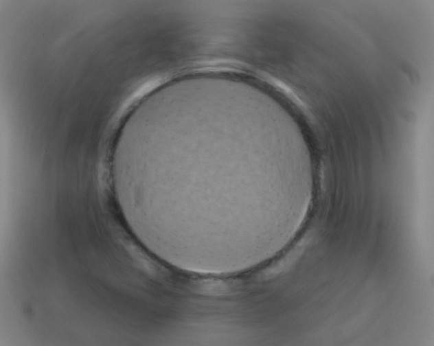 X0000113231405200910221030