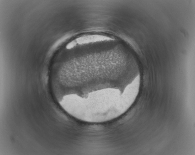 X0000113231406200910221030