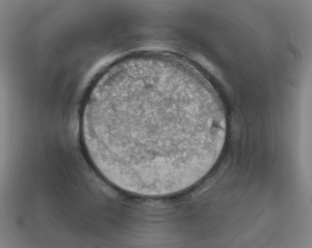 X0000113231408200910221030