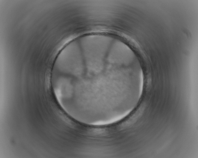 X0000113231409200910221030