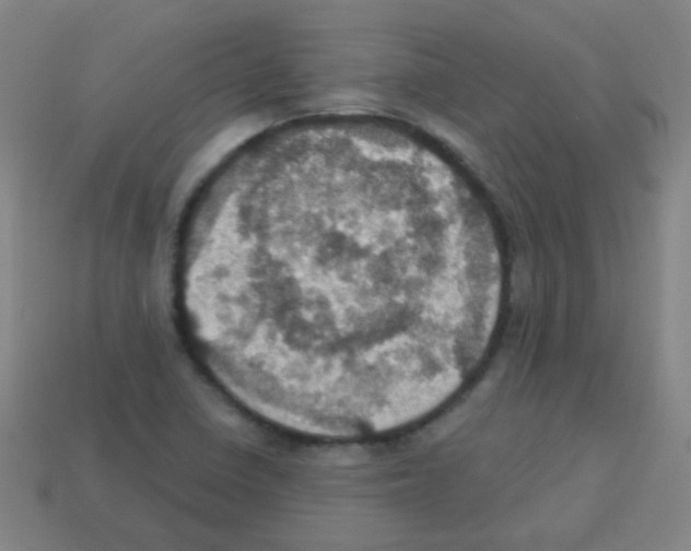 X0000113231410200910221030