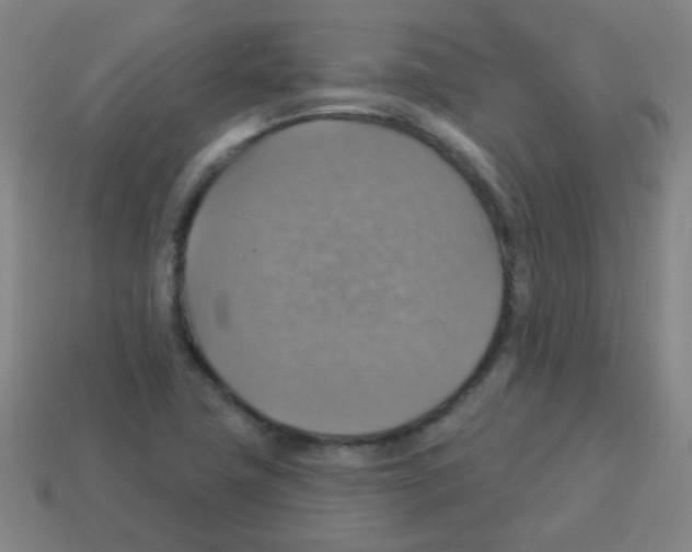 X0000113231411200910221030