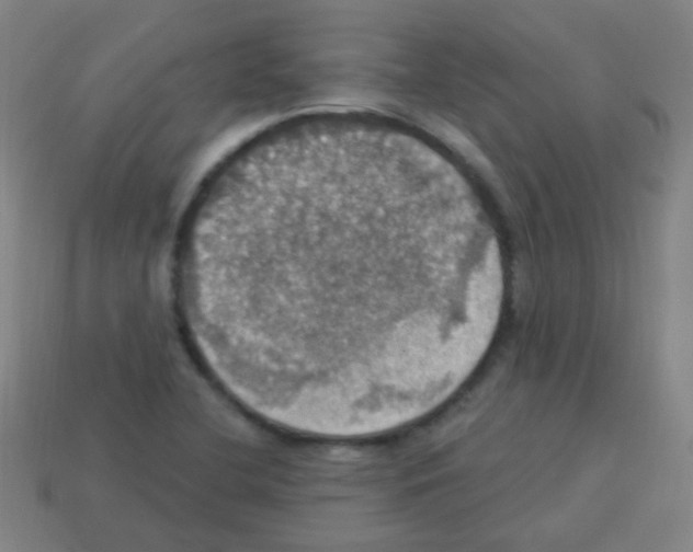 X0000113231412200910221030