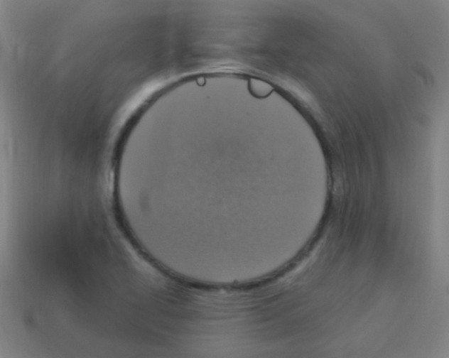 X0000113231414200910221030