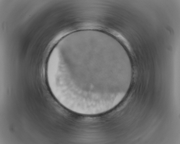 X0000113231419200910221030