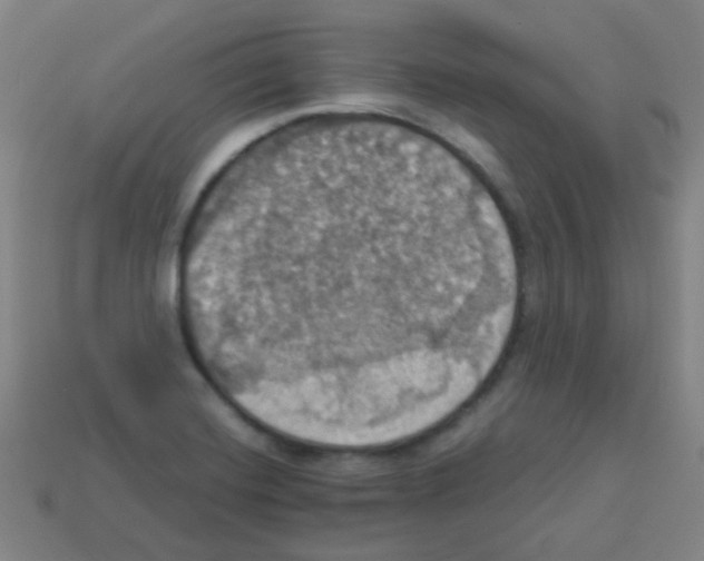 X0000113231420200910221030