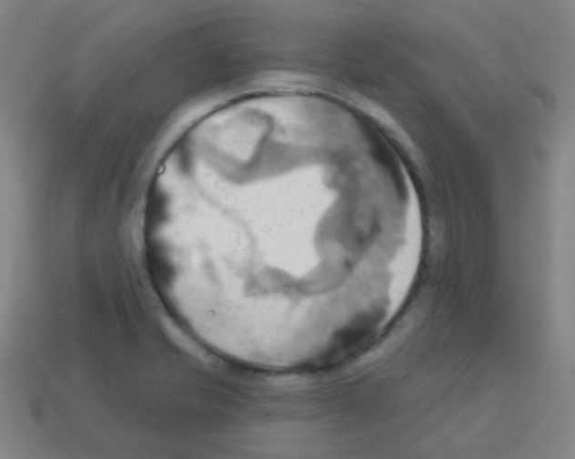 X0000113231421200910221030