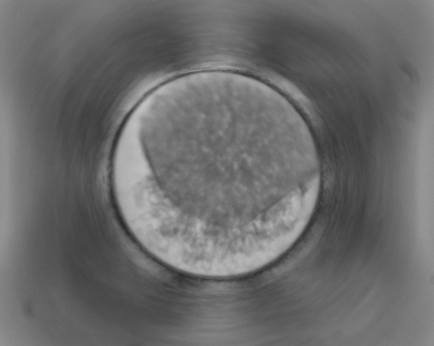 X0000113231423200910221030