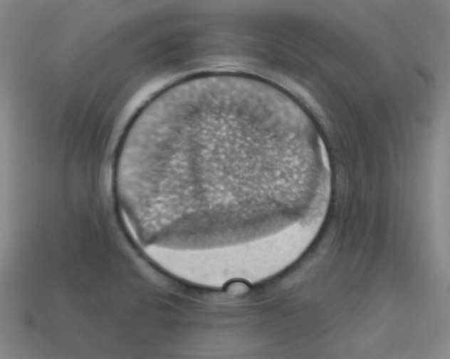 X0000113231424200910221030