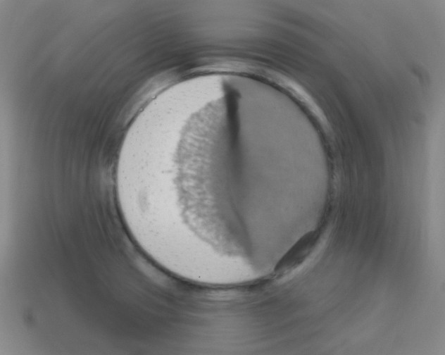 X0000113231425200910221030