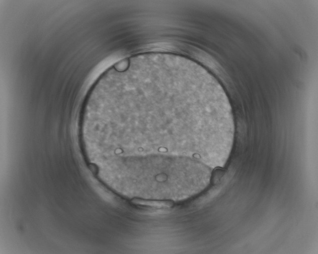 X0000113231426200910221030