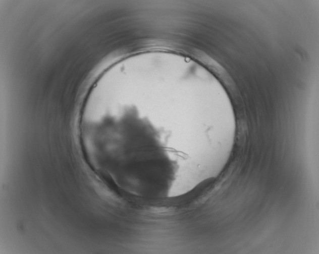 X0000113231427200910221030