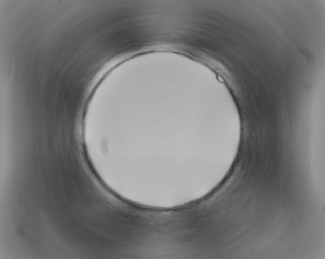 X0000113231428200910221030