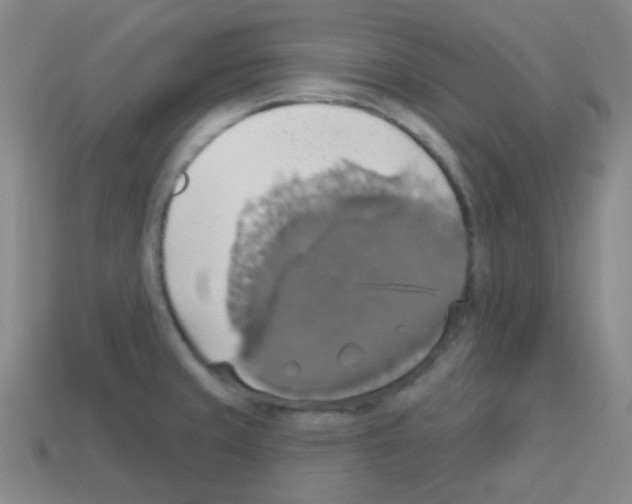 X0000113231429200910221030