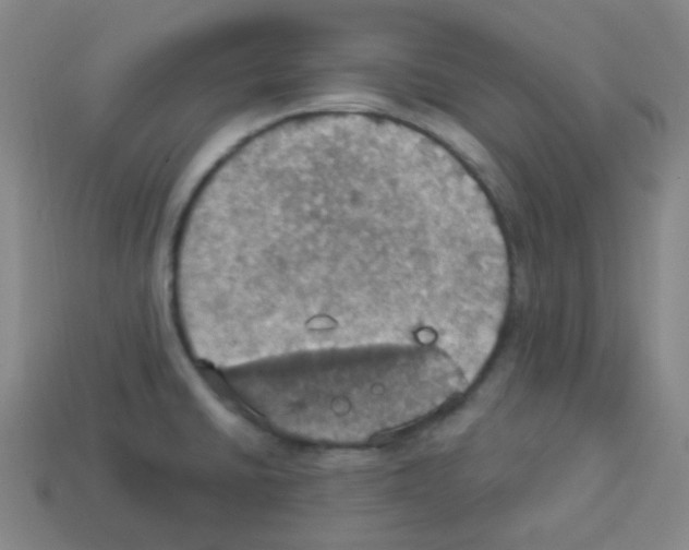 X0000113231430200910221030