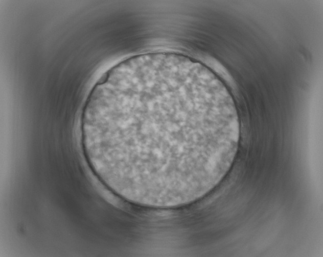 X0000113231431200910221030