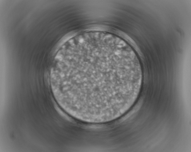 X0000113231433200910221030