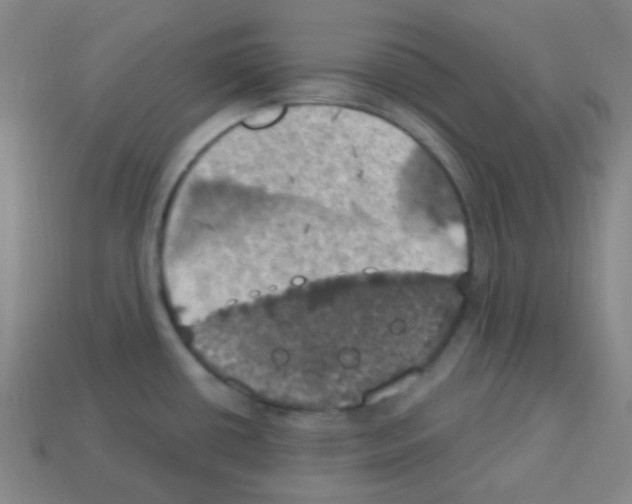 X0000113231434200910221030