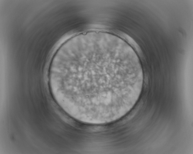 X0000113231435200910221030