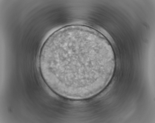 X0000113231436200910221030