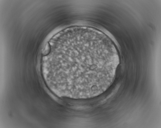 X0000113231437200910221030