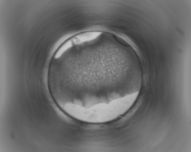 X0000113231438200910221030