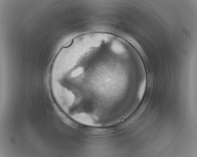 X0000113231439200910221030