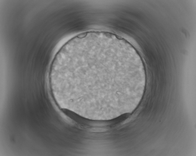 X0000113231440200910221030