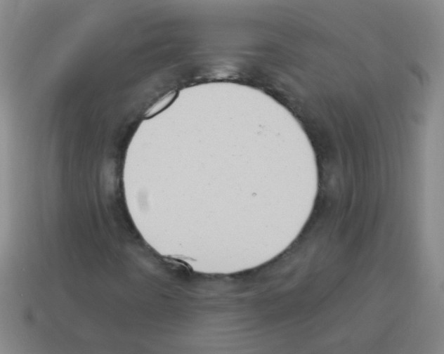 X0000113231442200910221029