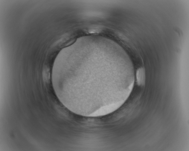 X0000113231443200910221029