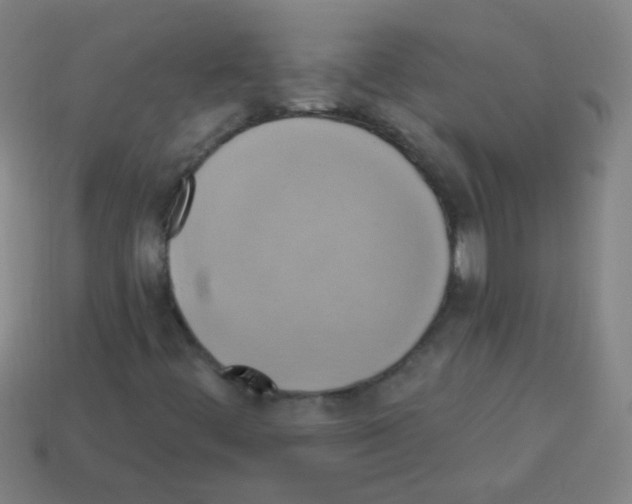 X0000113231444200910221029