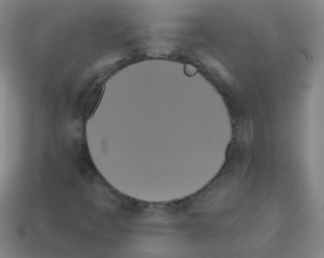 X0000113231445200910221029