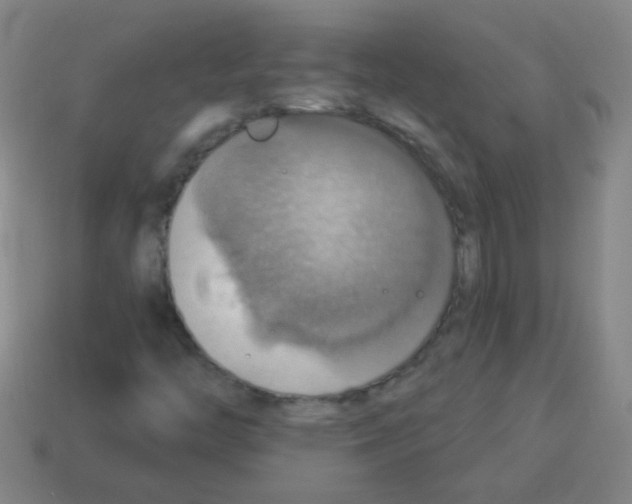 X0000113231446200910221029