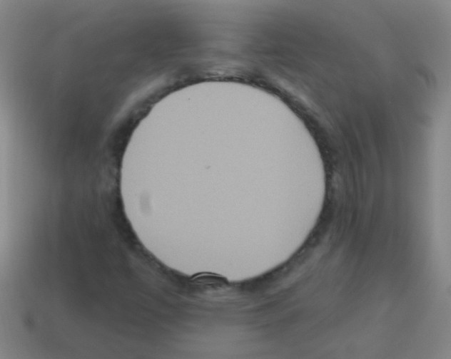 X0000113231447200910221029