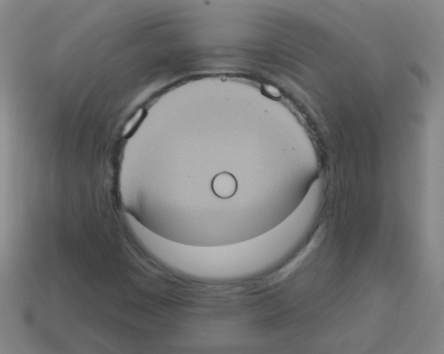 X0000113231449200910221029