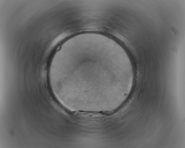 X0000113231450200910221029