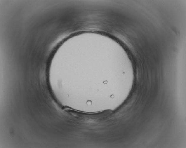 X0000113231452200910221029