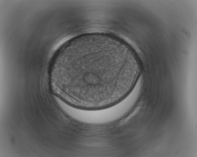 X0000113231453200910221029