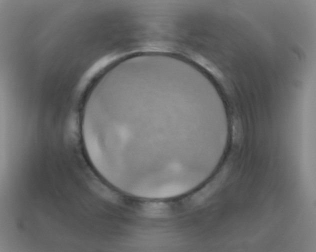 X0000113231454200910221029