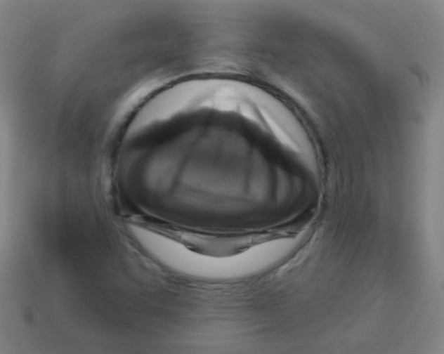 X0000113231455200910221029