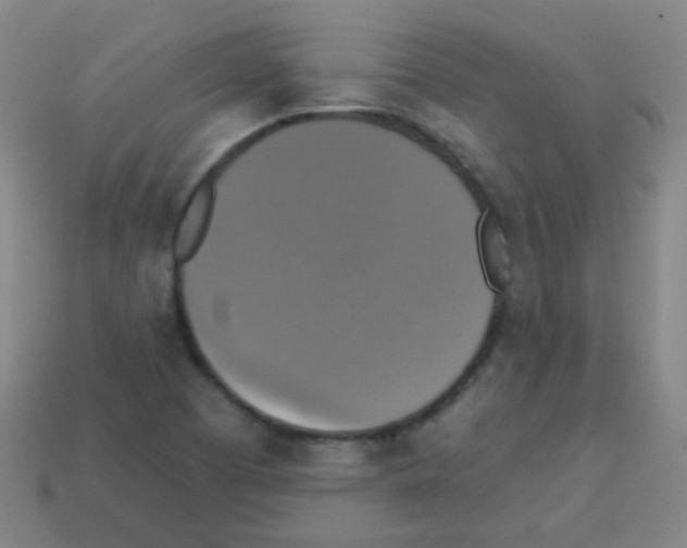 X0000113231457200910221029