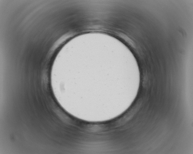 X0000113231458200910221029