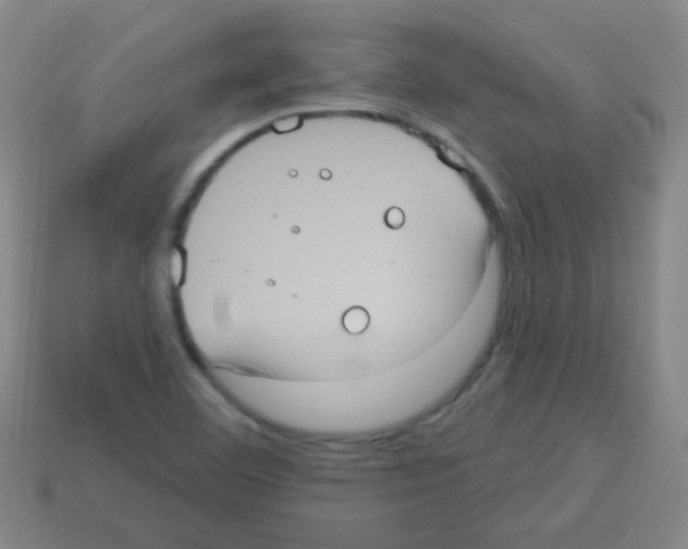 X0000113231460200910221029