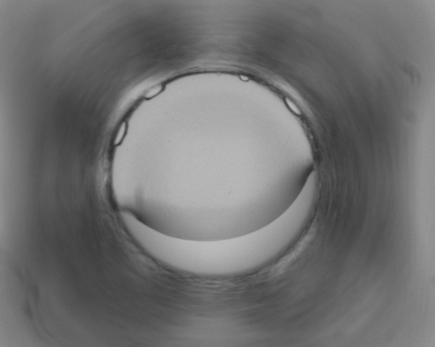 X0000113231461200910221029