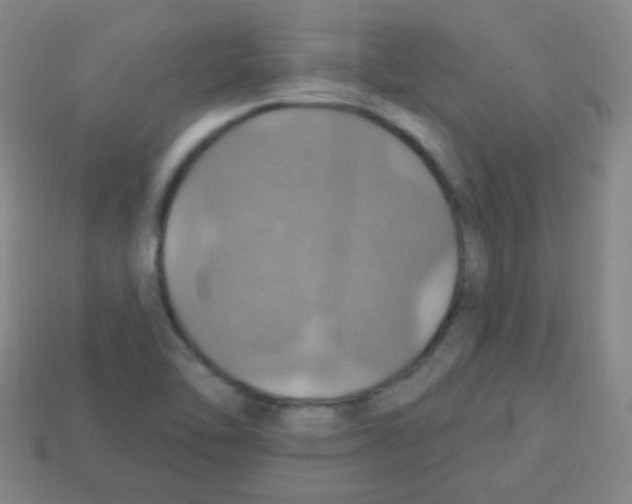 X0000113231462200910221029