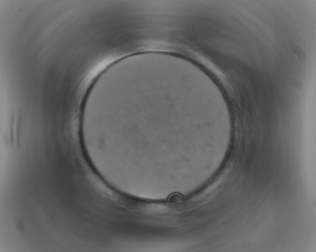 X0000113231463200910221029